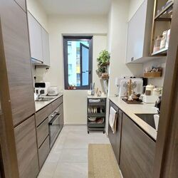 The Florence Residences (D19), Apartment #560855641